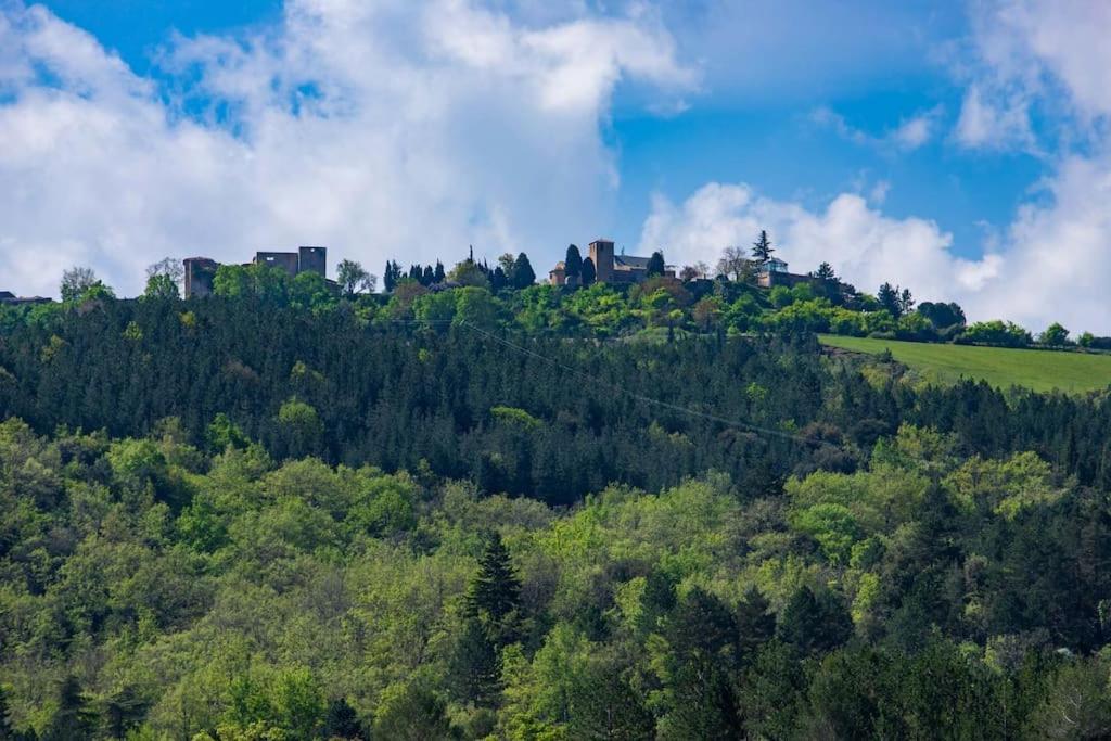 Villa Blanche, Contemporary, Cathars, Couiza, Carcassonne Экстерьер фото